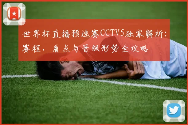 世界杯直播预选赛CCTV5独家解析：赛程、看点与晋级形势全攻略
